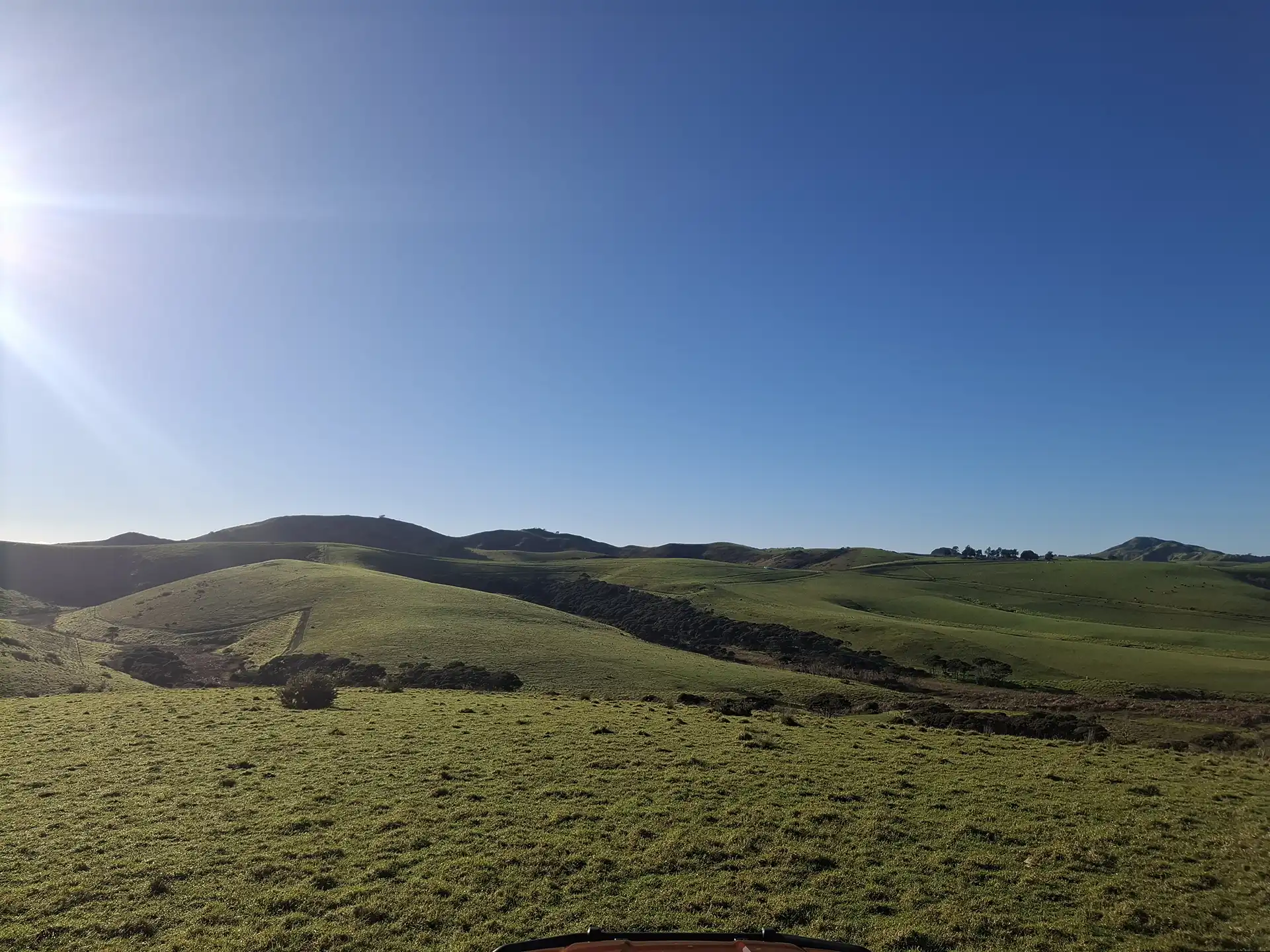 Wai Kōwhai Lot 7 -2