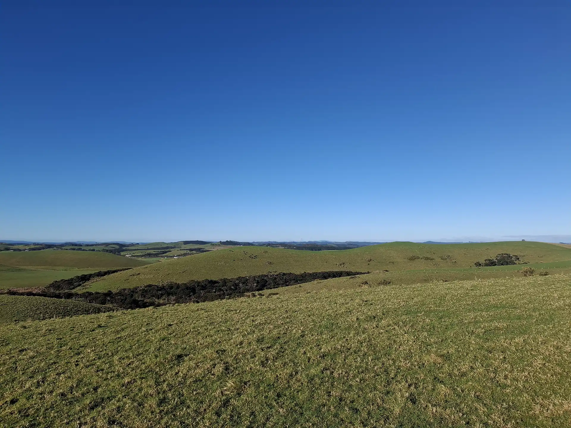 Wai Kōwhai Lot 7 -3