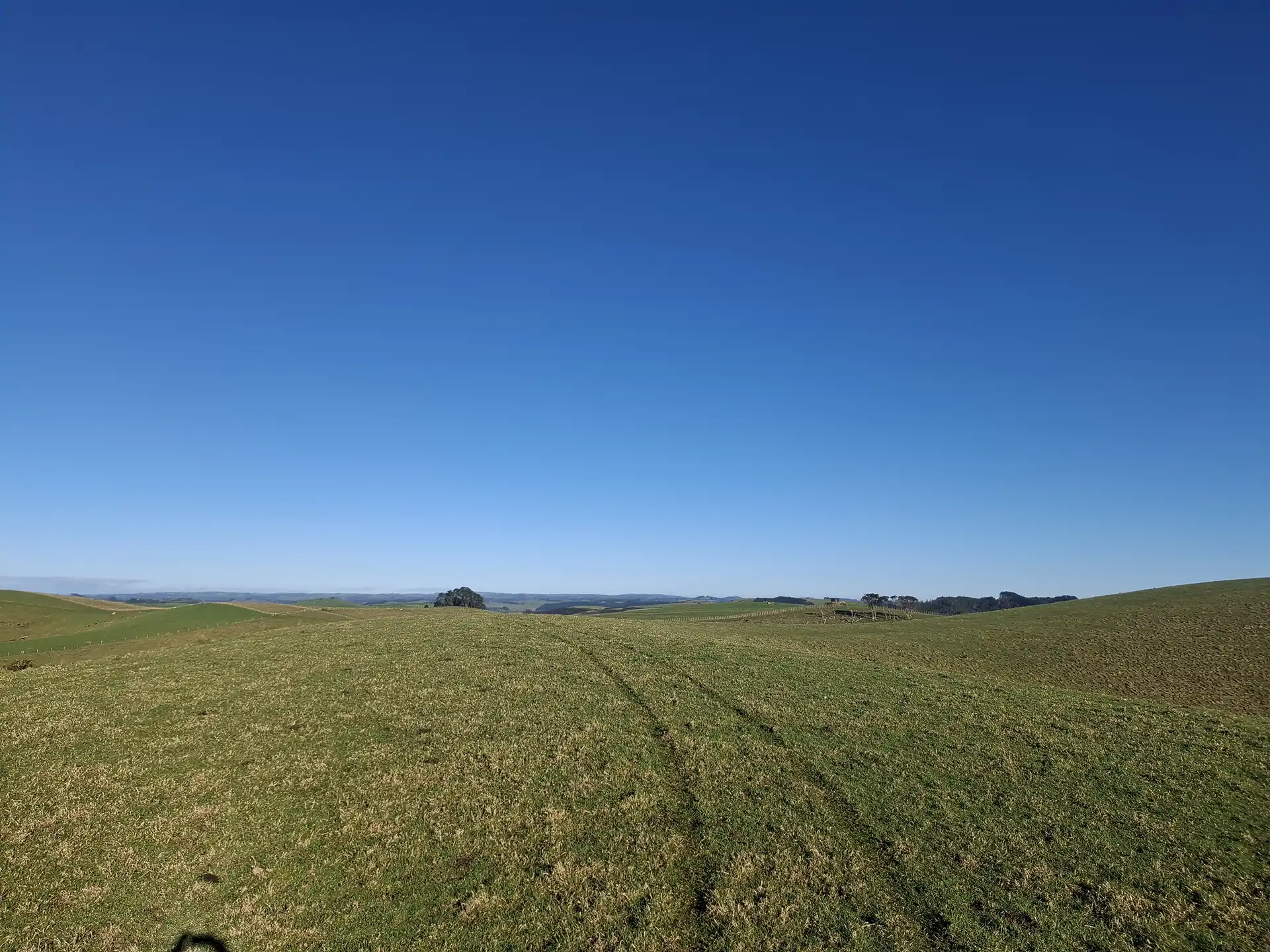 Wai Kōwhai Lot 7 -4