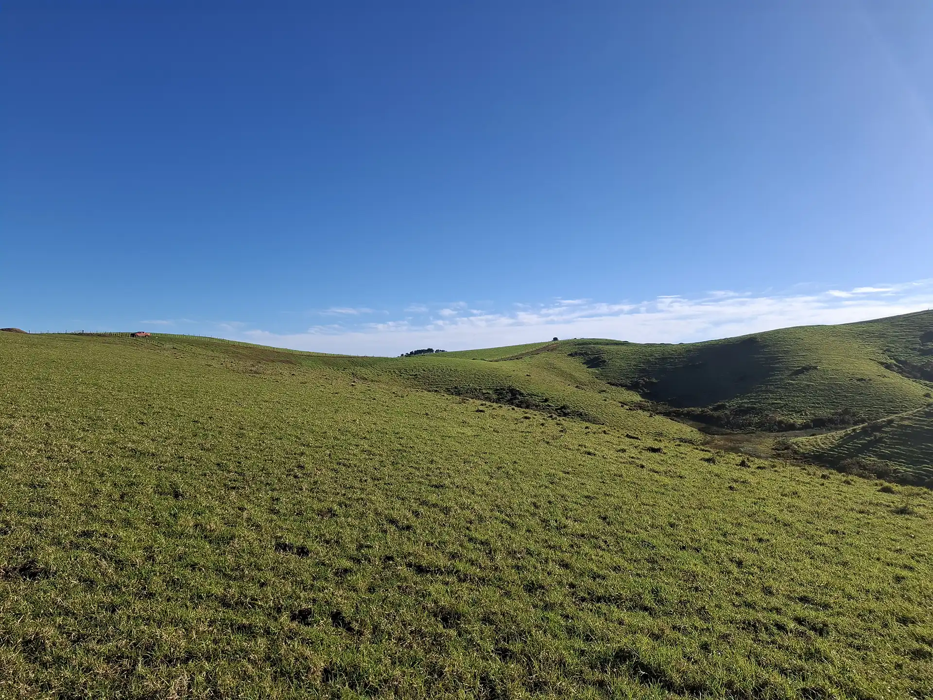 Wai Kōwhai Lot 9 -1