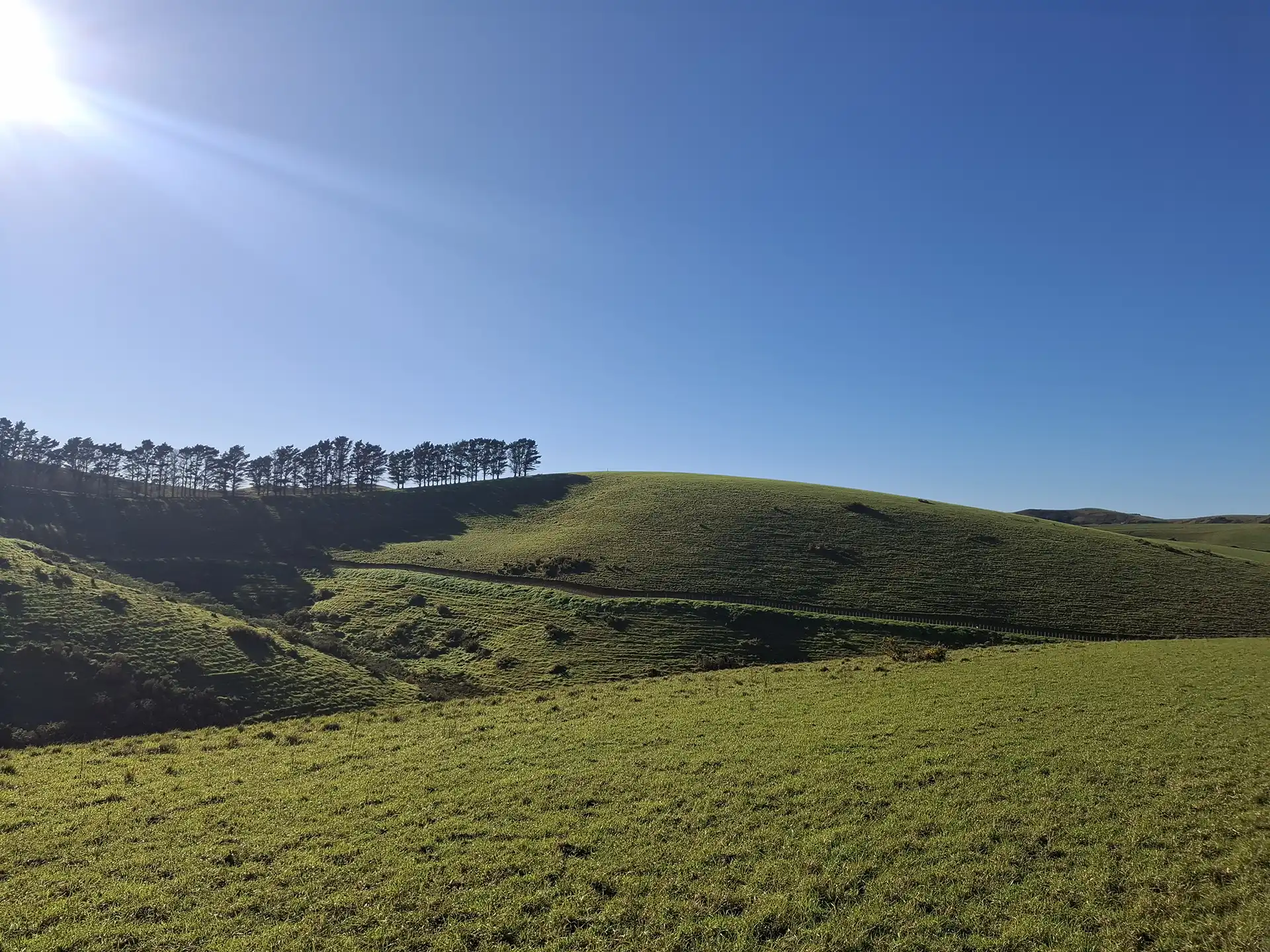 Wai Kōwhai Lot 9 -2