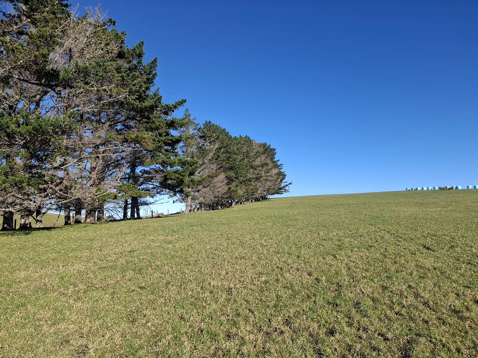 Wai Kōwhai Lot 9 -4